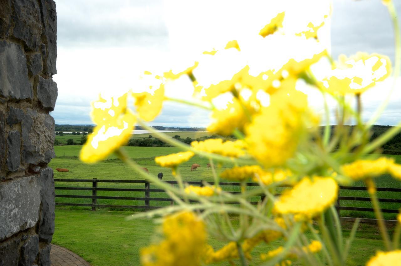 Bunratty Meadows Bed & Breakfast Экстерьер фото