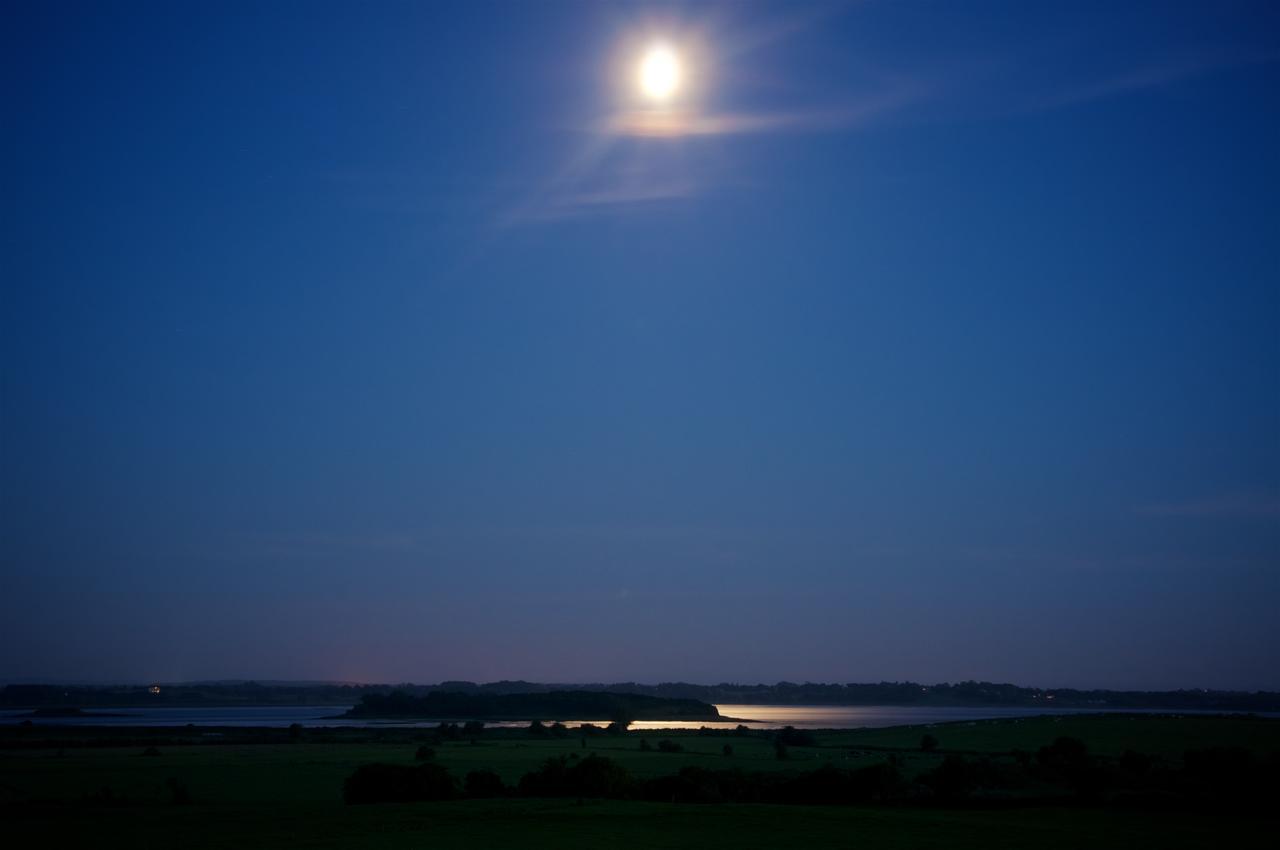 Bunratty Meadows Bed & Breakfast Экстерьер фото